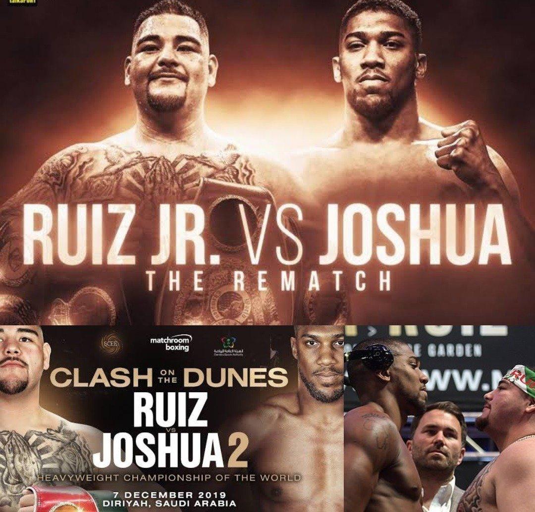 nthony Joshua vs Andy Ruiz Jr fight