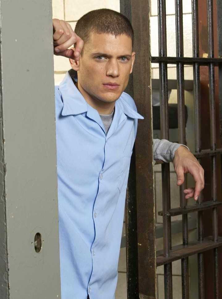 wentworth miller networth