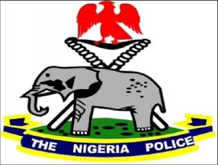 The Nigeria Police Force, Updated Ranks, And Symbol
