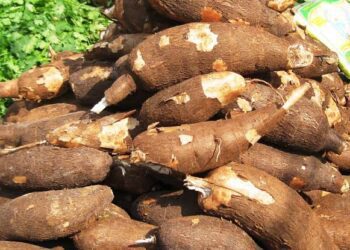 Cassava Producing States in Nigeria