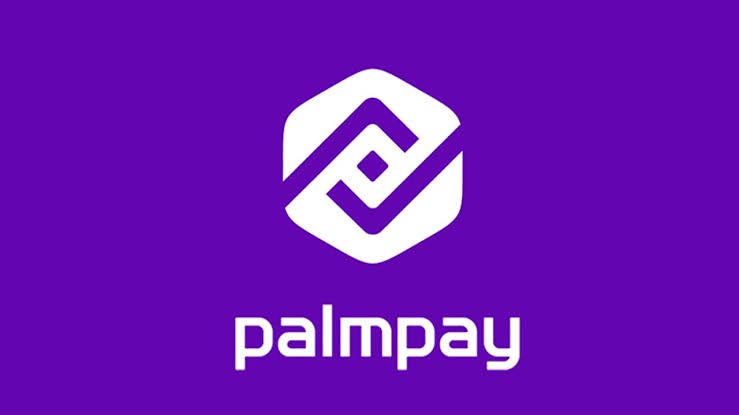 How to Contact Palmpay Customer Care