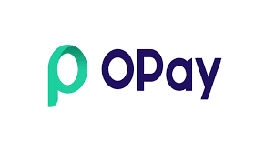 What is OWealth on Opay.